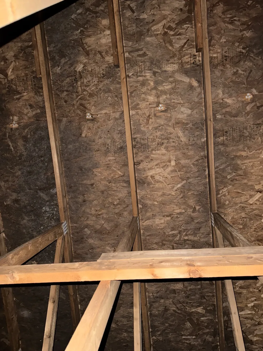 Mold in attic new wood